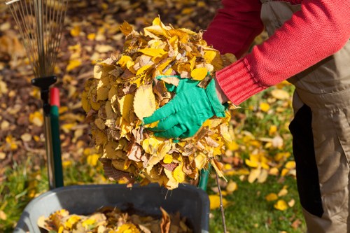 Comprehensive home clearance services