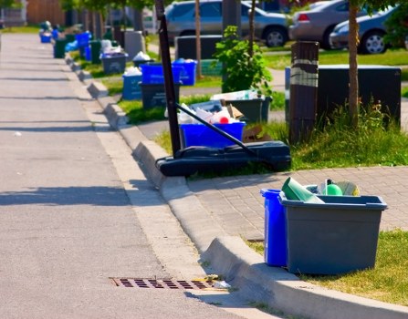 Professional waste removal team